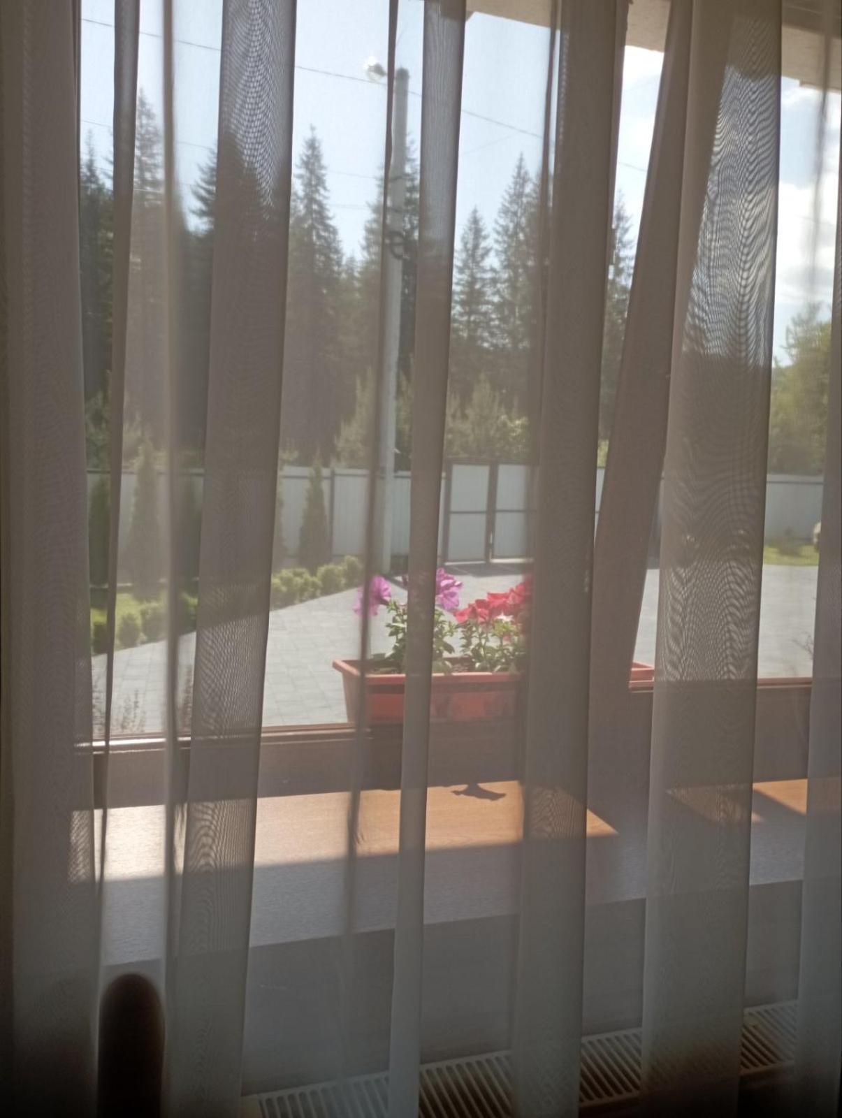 U Anastasii I Sofii Bilya Richki Guest House Mykulychyn Luaran gambar