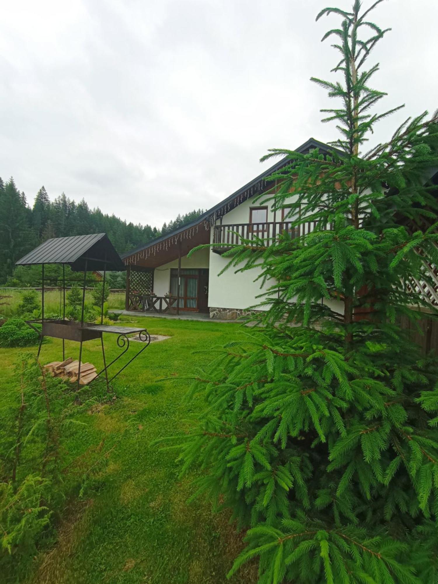 U Anastasii I Sofii Bilya Richki Guest House Mykulychyn Luaran gambar