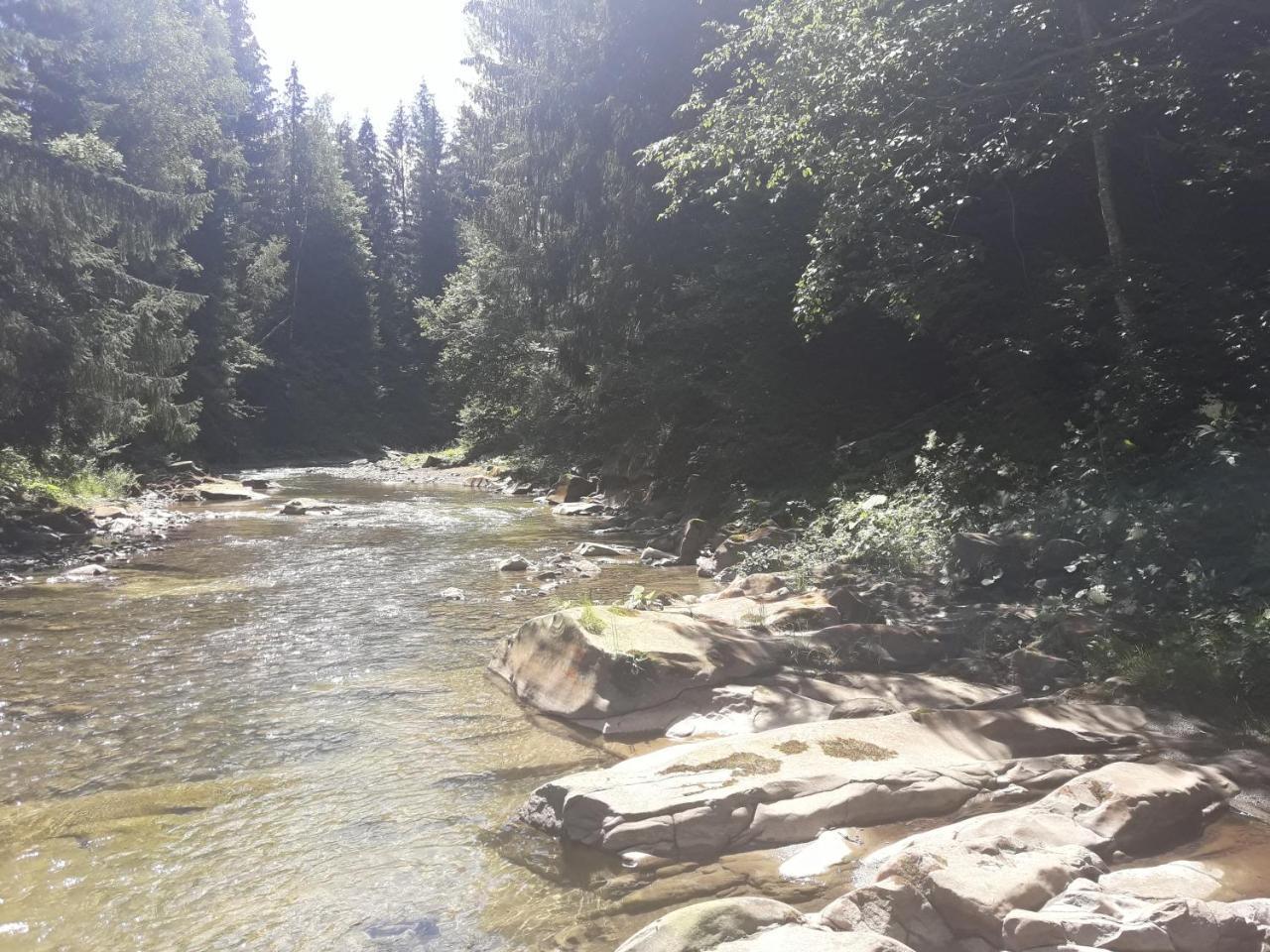 U Anastasii I Sofii Bilya Richki Guest House Mykulychyn Luaran gambar